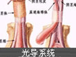 一般龟头炎都是什么病因引...